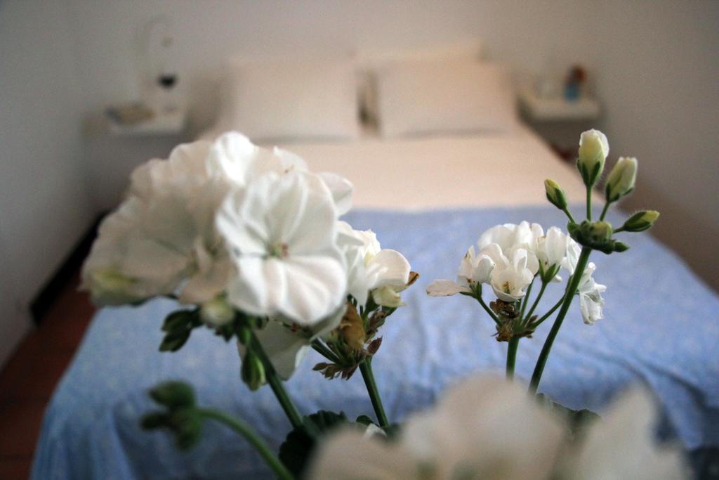A Casa Da Arvore Bed and Breakfast Vila Nova de Milfontes Kamer foto